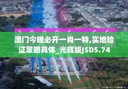 澳門今晚必開一肖一特,實地驗證策略具體_光輝版JSD5.74