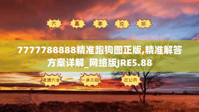 7777788888精準(zhǔn)跑狗圖正版,精準(zhǔn)解答方案詳解_網(wǎng)絡(luò)版JRE5.88