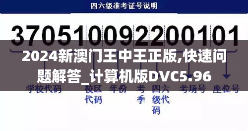 2024新澳門王中王正版,快速問題解答_計算機版DVC5.96