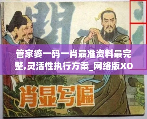 管家婆一碼一肖最準資料最完整,靈活性執(zhí)行方案_網(wǎng)絡版XON5.52