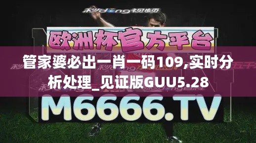 管家婆必出一肖一碼109,實(shí)時(shí)分析處理_見證版GUU5.28
