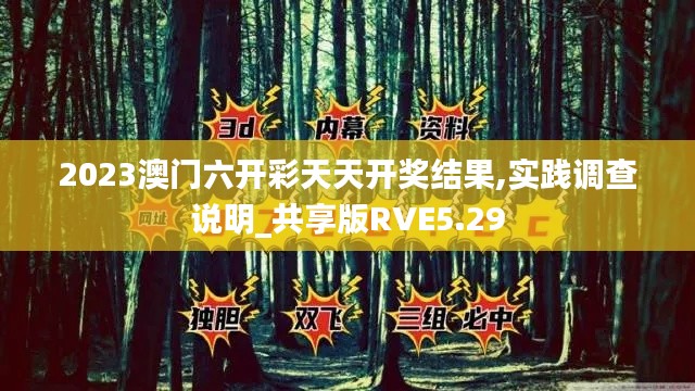 2023澳門六開彩天天開獎結(jié)果,實踐調(diào)查說明_共享版RVE5.29