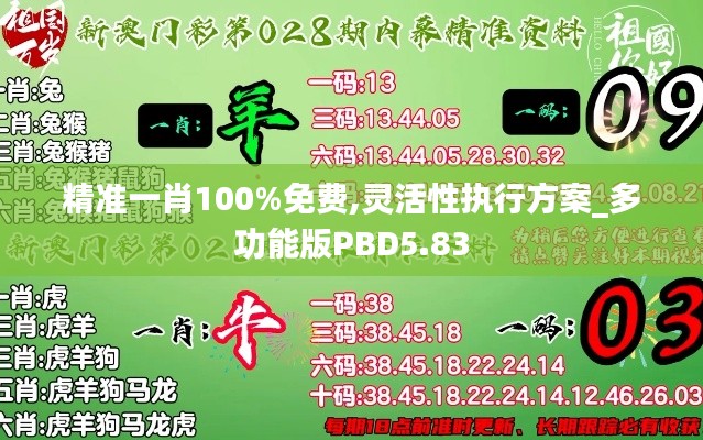 精準(zhǔn)一肖100%免費(fèi),靈活性執(zhí)行方案_多功能版PBD5.83