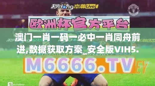 澳門一肖一碼一必中一肖同舟前進,數(shù)據(jù)獲取方案_安全版VIH5.7