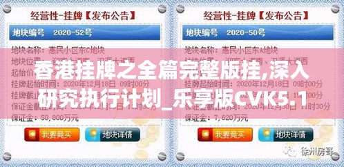 香港掛牌之全篇完整版掛,深入研究執(zhí)行計(jì)劃_樂(lè)享版CVK5.13