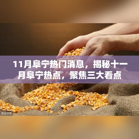 揭秘十一月阜寧三大看點(diǎn)，熱門消息一網(wǎng)打盡！