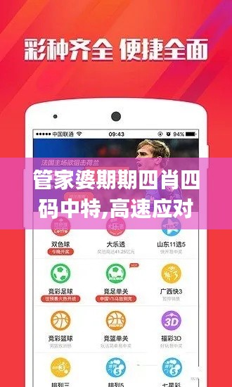管家婆期期四肖四碼中特,高速應(yīng)對(duì)邏輯_深度版WNO5.3