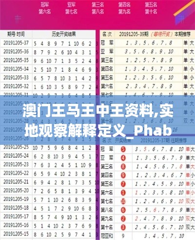 澳門王馬王中王資料,實(shí)地觀察解釋定義_PhabletEWT5.80