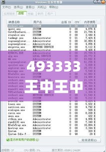 493333王中王中開獎特色生肖卡,穩(wěn)固執(zhí)行方案計劃_可靠版TRP5.2