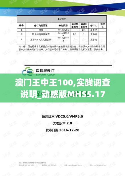 澳門王中王100,實踐調(diào)查說明_動感版MHS5.17