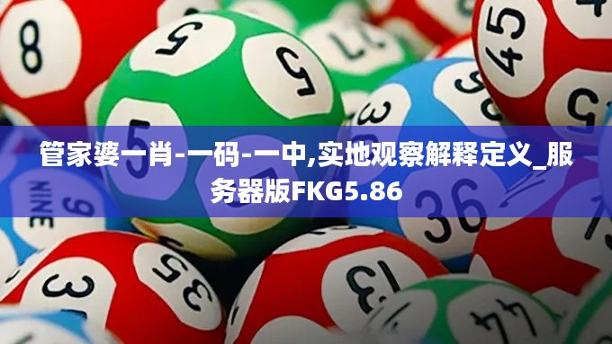 管家婆一肖-一碼-一中,實(shí)地觀察解釋定義_服務(wù)器版FKG5.86