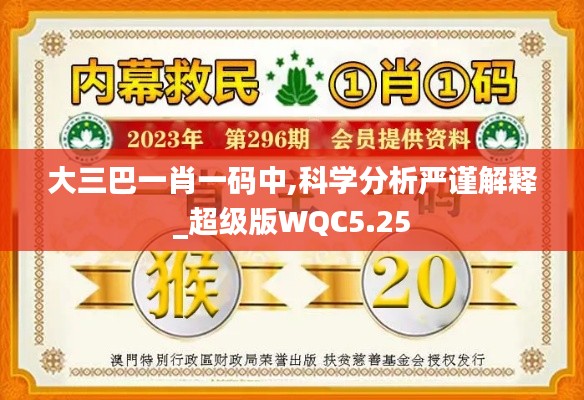 大三巴一肖一碼中,科學分析嚴謹解釋_超級版WQC5.25