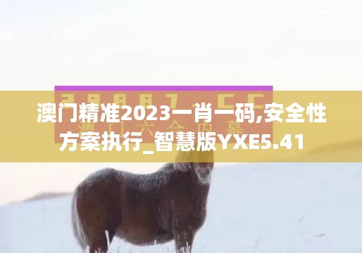 澳門精準2023一肖一碼,安全性方案執(zhí)行_智慧版YXE5.41