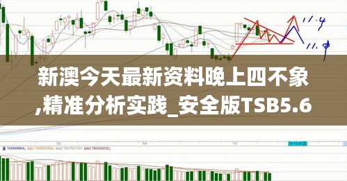 新澳今天最新資料晚上四不象,精準(zhǔn)分析實踐_安全版TSB5.68