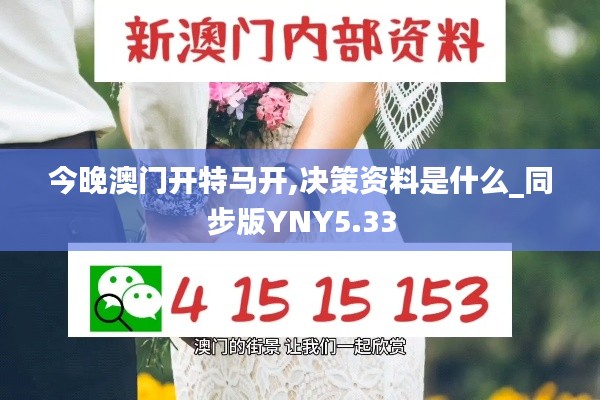 今晚澳門開特馬開,決策資料是什么_同步版YNY5.33