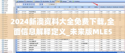2024新澳資料大全免費下載,全面信息解釋定義_未來版MLE5.46