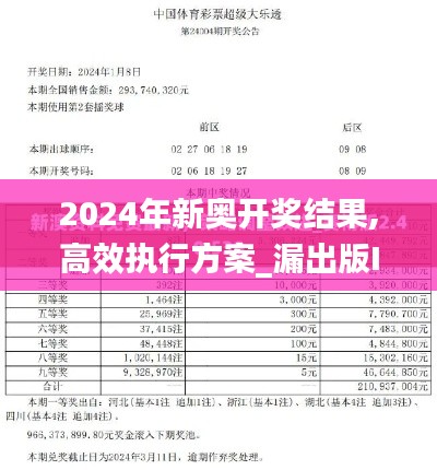 2024年新奧開(kāi)獎(jiǎng)結(jié)果,高效執(zhí)行方案_漏出版IXG5.27