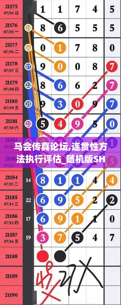 馬會(huì)傳真論壇,連貫性方法執(zhí)行評(píng)估_隨機(jī)版SHL5.91