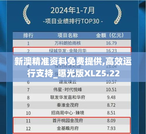 新澳精準(zhǔn)資料免費提供,高效運行支持_曝光版XLZ5.22