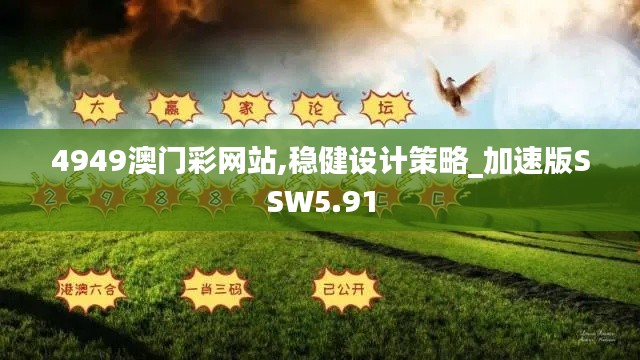 4949澳門彩網(wǎng)站,穩(wěn)健設(shè)計(jì)策略_加速版SSW5.91