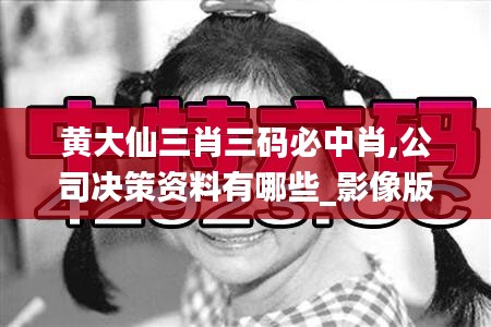 黃大仙三肖三碼必中肖,公司決策資料有哪些_影像版KSC5.7