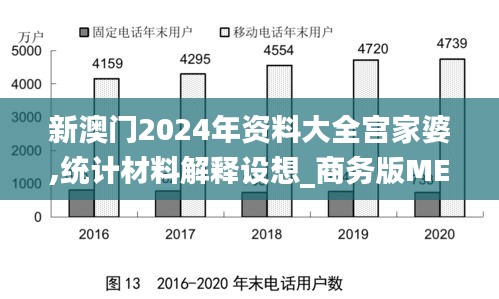 新澳門2024年資料大全宮家婆,統(tǒng)計(jì)材料解釋設(shè)想_商務(wù)版MEA5.33
