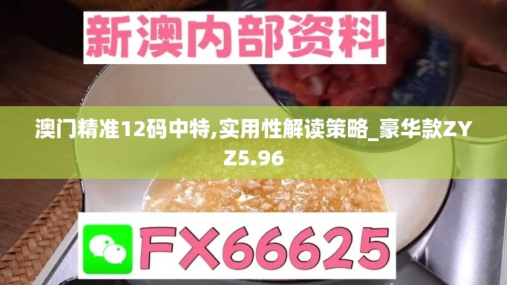 澳門精準(zhǔn)12碼中特,實用性解讀策略_豪華款ZYZ5.96