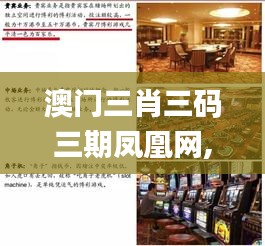 狐假虎威 第5頁(yè)