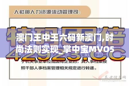 澳門(mén)王中王六碼新澳門(mén),時(shí)尚法則實(shí)現(xiàn)_掌中寶MVO5.1