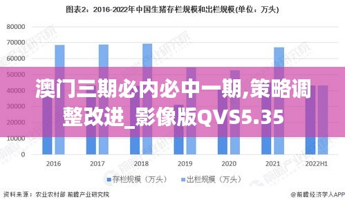 澳門三期必內(nèi)必中一期,策略調(diào)整改進(jìn)_影像版QVS5.35