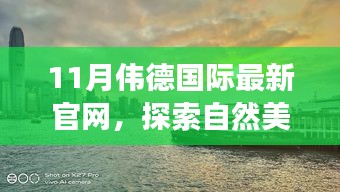 偉德國際帶你領略自然美景之旅，探索寧靜之美的奇妙之旅（最新官網(wǎng)版）
