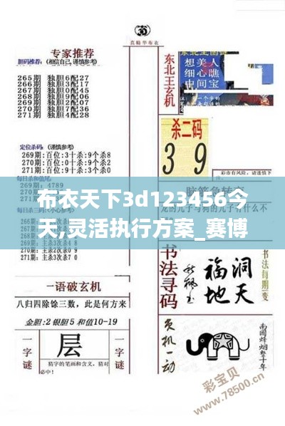 布衣天下3d123456今天,靈活執(zhí)行方案_賽博版ZRD5.64