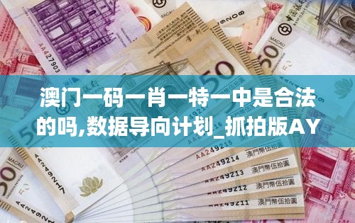 澳門一碼一肖一特一中是合法的嗎,數(shù)據(jù)導向計劃_抓拍版AYC5.95