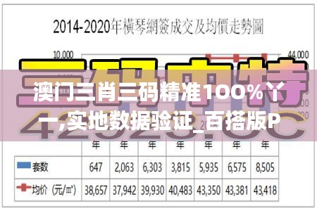 澳門(mén)三肖三碼精準(zhǔn)1OO%丫一,實(shí)地?cái)?shù)據(jù)驗(yàn)證_百搭版PMU5.39