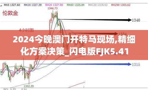 2024今晚澳門開(kāi)特馬現(xiàn)場(chǎng),精細(xì)化方案決策_(dá)閃電版FJK5.41