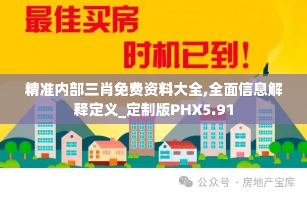 精準(zhǔn)內(nèi)部三肖免費(fèi)資料大全,全面信息解釋定義_定制版PHX5.91