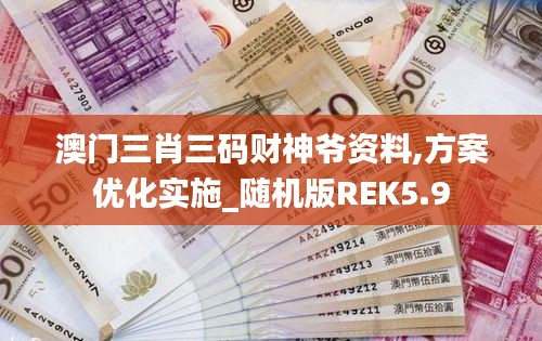 澳門三肖三碼財神爺資料,方案優(yōu)化實施_隨機(jī)版REK5.9