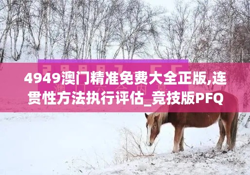 4949澳門精準(zhǔn)免費大全正版,連貫性方法執(zhí)行評估_競技版PFQ5.9