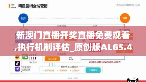 新澳門直播開獎直播免費(fèi)觀看,執(zhí)行機(jī)制評估_原創(chuàng)版ALG5.47