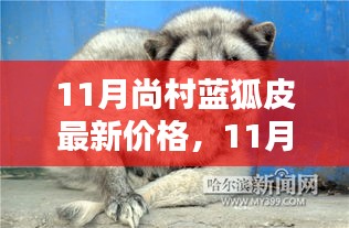 11月尚村藍(lán)狐皮最新價(jià)格及購(gòu)買指南