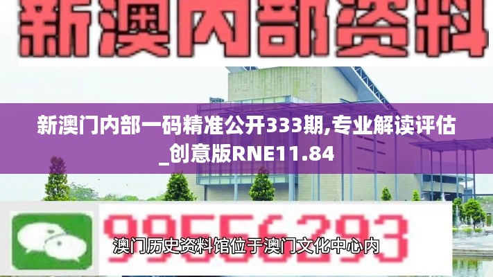 新澳門內(nèi)部一碼精準(zhǔn)公開333期,專業(yè)解讀評估_創(chuàng)意版RNE11.84