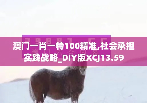 澳門一肖一特100精準(zhǔn),社會(huì)承擔(dān)實(shí)踐戰(zhàn)略_DIY版XCJ13.59