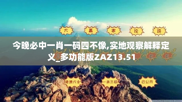 今晚必中一肖一碼四不像,實地觀察解釋定義_多功能版ZAZ13.51