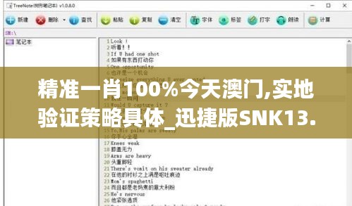 精準(zhǔn)一肖100%今天澳門,實(shí)地驗(yàn)證策略具體_迅捷版SNK13.13