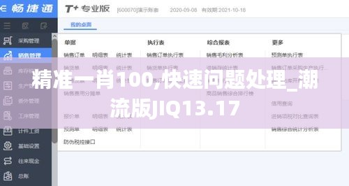 精準(zhǔn)一肖100,快速問題處理_潮流版JIQ13.17