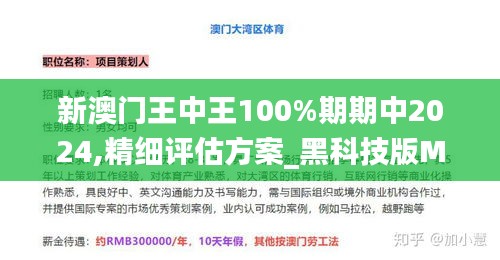 新澳門王中王100%期期中2024,精細(xì)評估方案_黑科技版MFB13.50