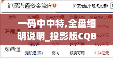 一碼中中特,全盤細(xì)明說明_投影版CQB13.55