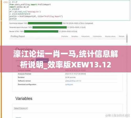 濠江論壇一肖一馬,統(tǒng)計(jì)信息解析說(shuō)明_效率版XEW13.12