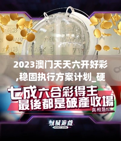 2023澳門天天六開好彩,穩(wěn)固執(zhí)行方案計劃_硬件版BHZ13.95