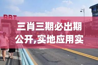 三肖三期必出期公開,實(shí)地應(yīng)用實(shí)踐解讀_同步版BRT13.48